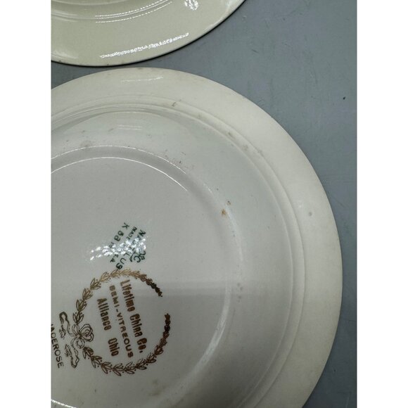 Vintage Walker China Green & White Floral Rimmed Soup Bowls 8" Diameter Set Of 2 - Picture 5 of 14